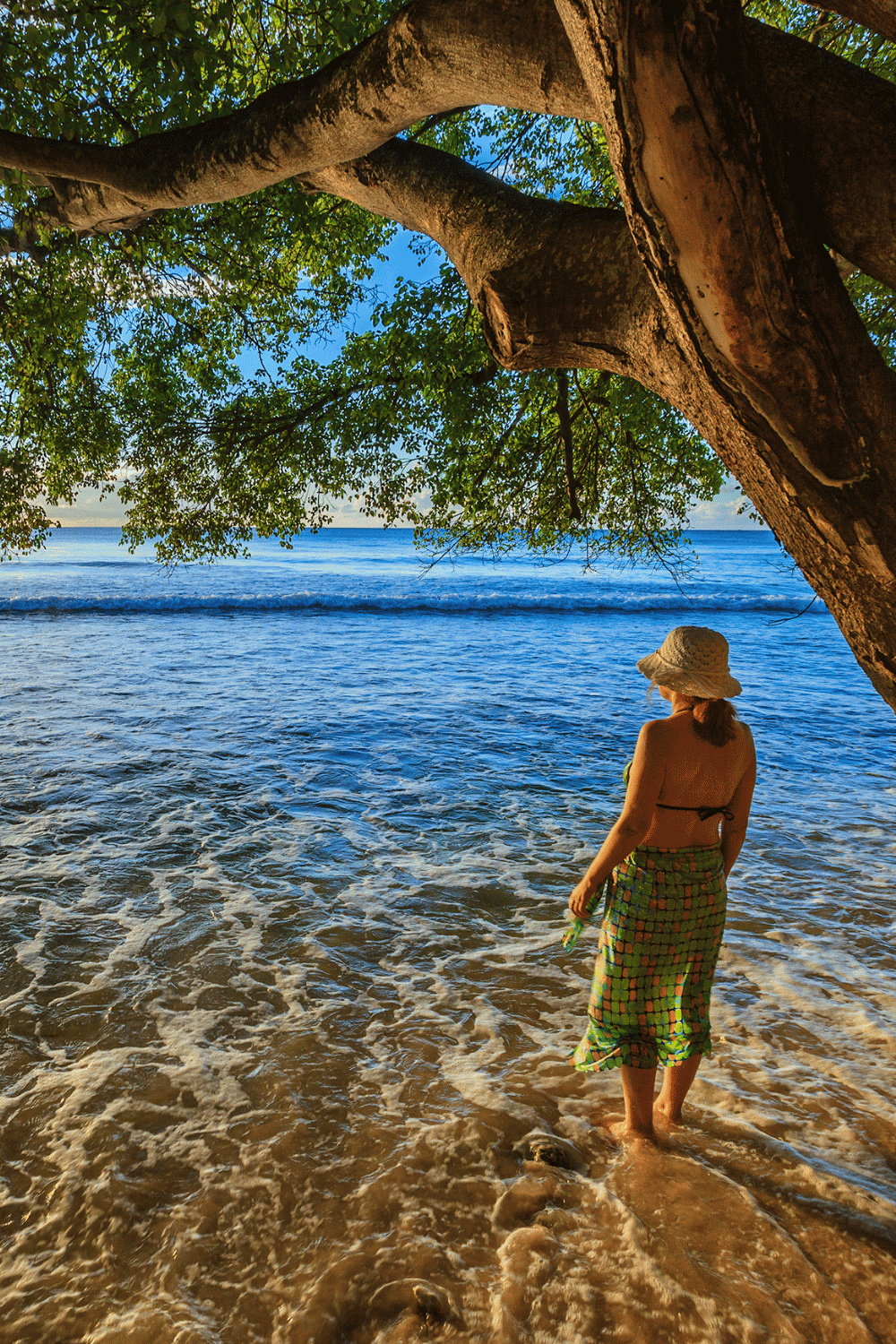 Paynes Bay beach on the west coast of Barbados