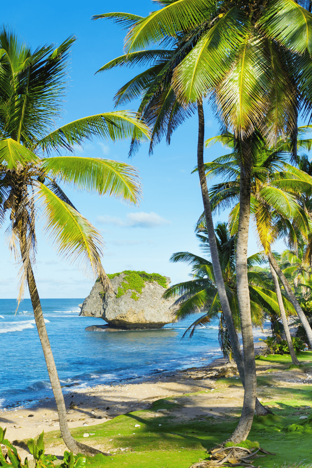 Bathsheba beach and Atlantic coastline in Barbados