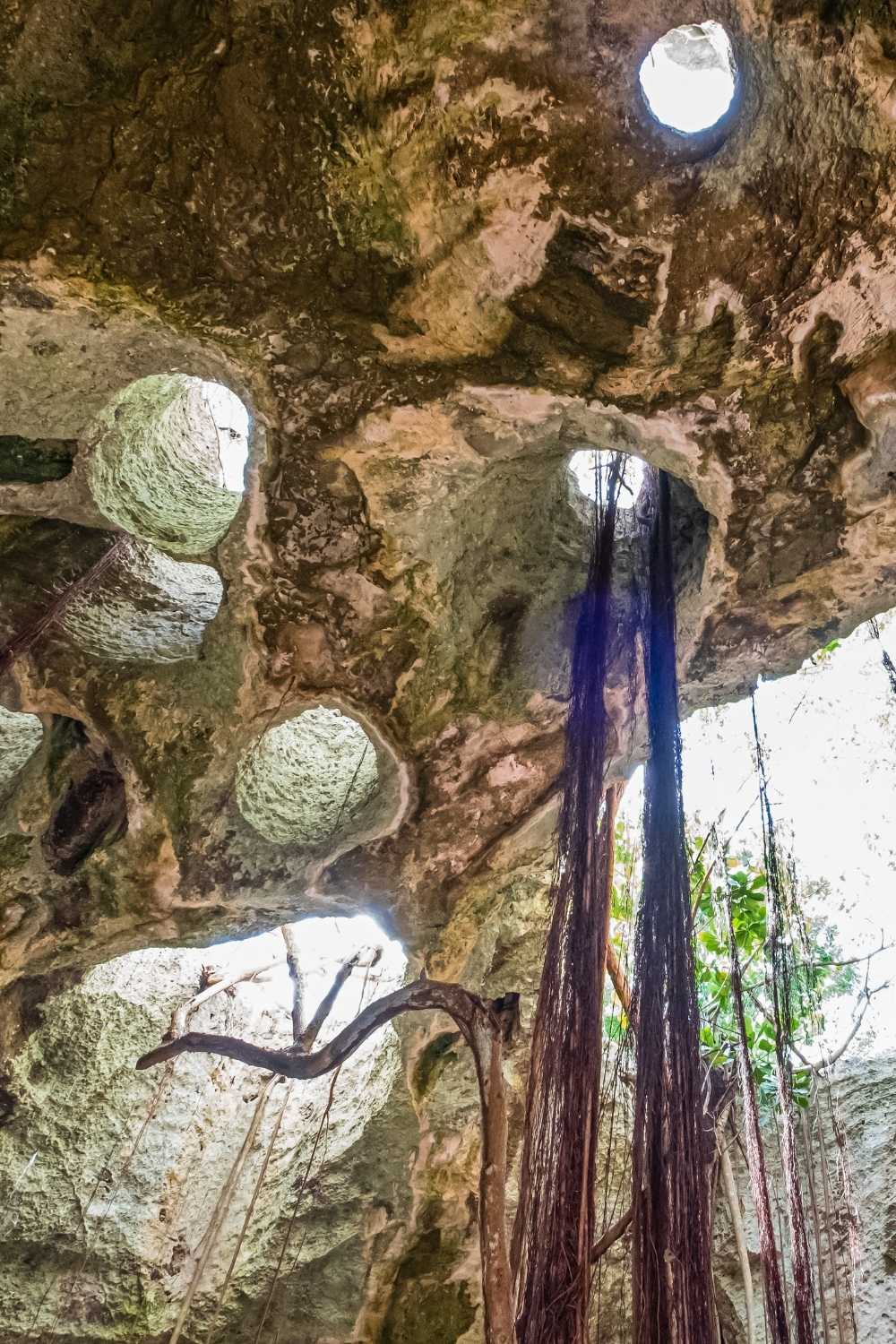 Limestone cave formations inside Conch Bar Caves on Middle Caicos Turks and Caicos